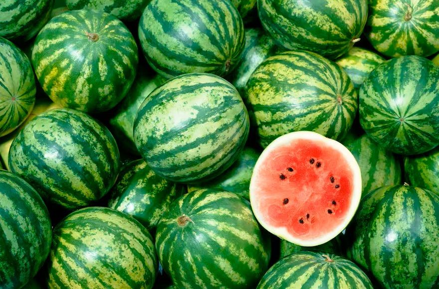 vattenmelon